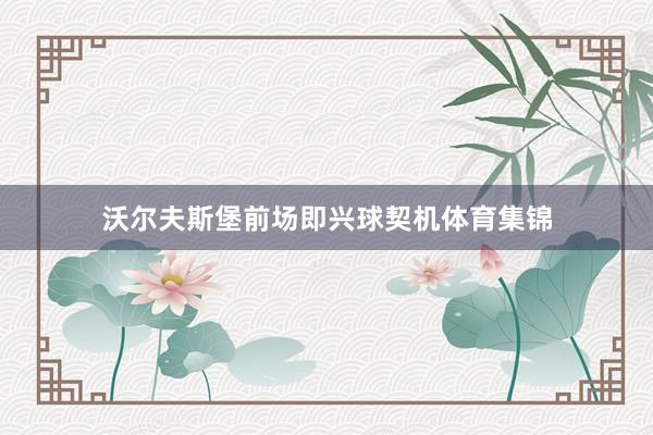 沃尔夫斯堡前场即兴球契机体育集锦