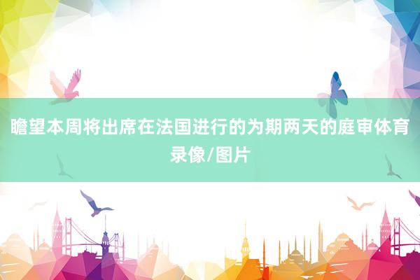 瞻望本周将出席在法国进行的为期两天的庭审体育录像/图片