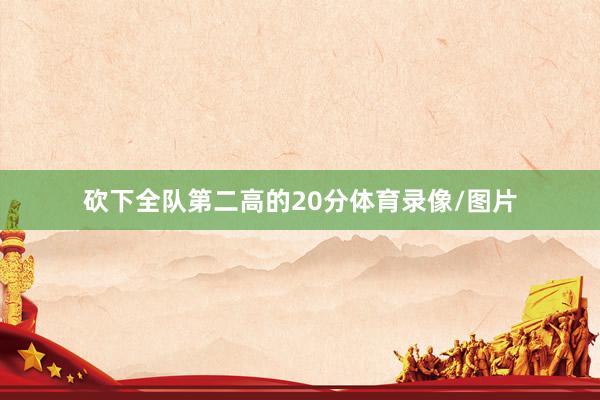 砍下全队第二高的20分体育录像/图片