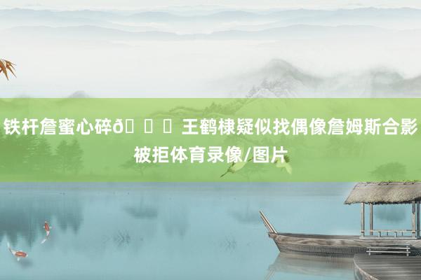 铁杆詹蜜心碎💔王鹤棣疑似找偶像詹姆斯合影被拒体育录像/图片