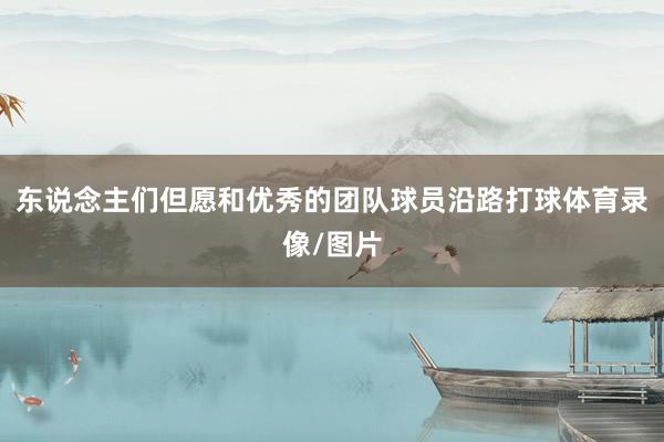 东说念主们但愿和优秀的团队球员沿路打球体育录像/图片