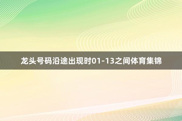 龙头号码沿途出现时01-13之间体育集锦