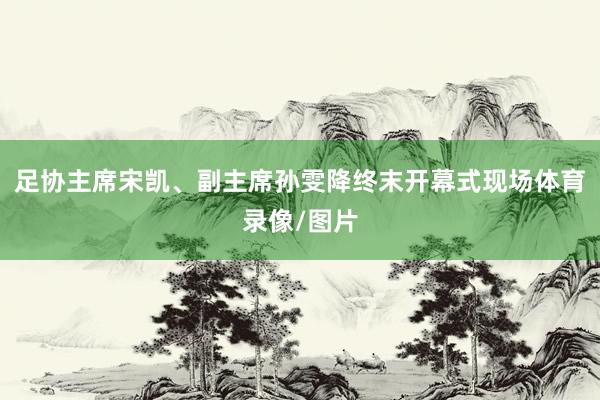 足协主席宋凯、副主席孙雯降终末开幕式现场体育录像/图片