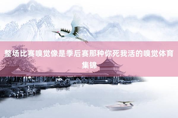 整场比赛嗅觉像是季后赛那种你死我活的嗅觉体育集锦