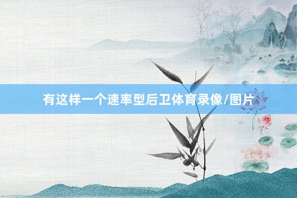 有这样一个速率型后卫体育录像/图片