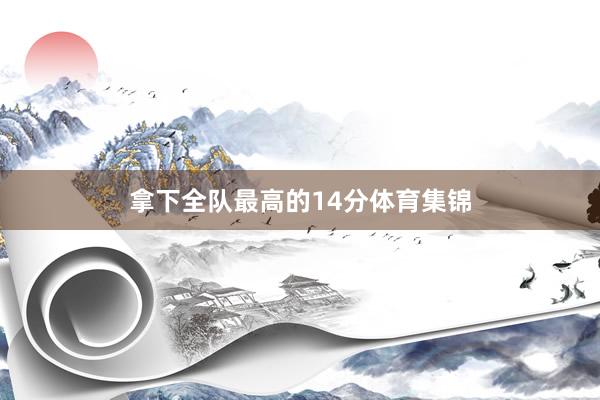 拿下全队最高的14分体育集锦