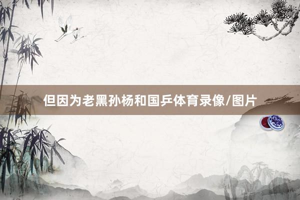 但因为老黑孙杨和国乒体育录像/图片