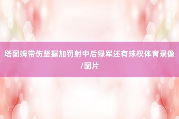 塔图姆带伤坚握加罚射中后绿军还有球权体育录像/图片
