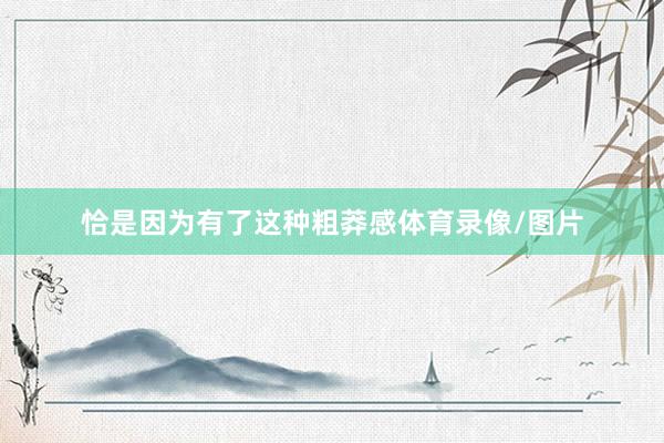 恰是因为有了这种粗莽感体育录像/图片