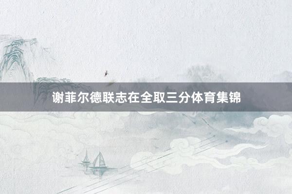 谢菲尔德联志在全取三分体育集锦