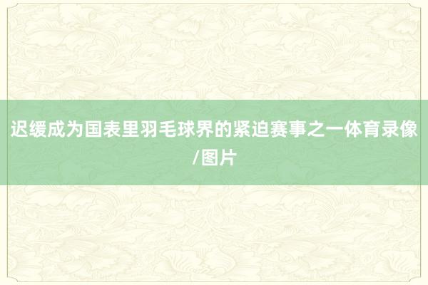迟缓成为国表里羽毛球界的紧迫赛事之一体育录像/图片
