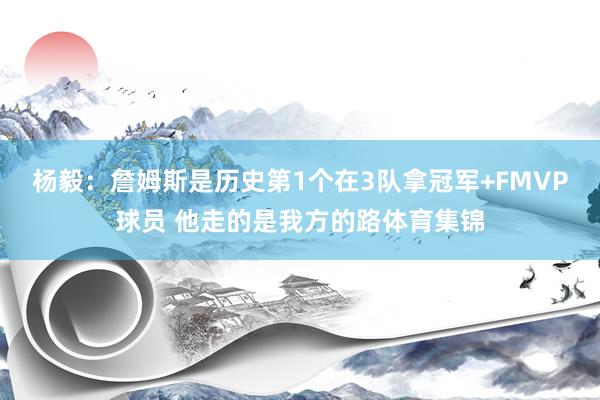 杨毅：詹姆斯是历史第1个在3队拿冠军+FMVP球员 他走的是我方的路体育集锦