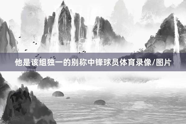 他是该组独一的别称中锋球员体育录像/图片