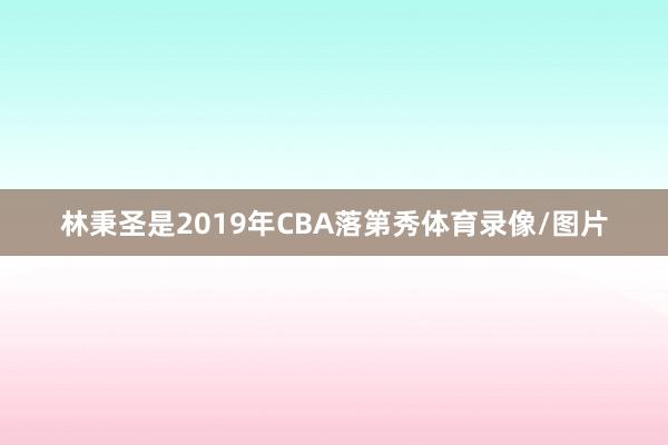 林秉圣是2019年CBA落第秀体育录像/图片