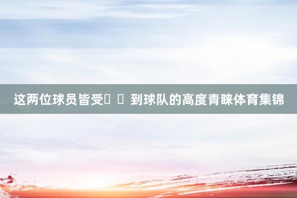 这两位球员皆受到球队的高度青睐体育集锦