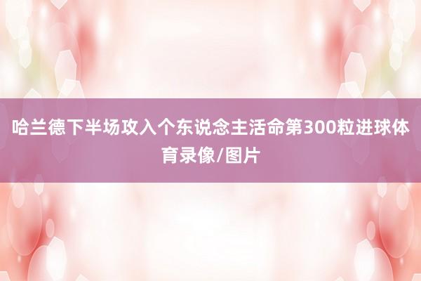 哈兰德下半场攻入个东说念主活命第300粒进球体育录像/图片