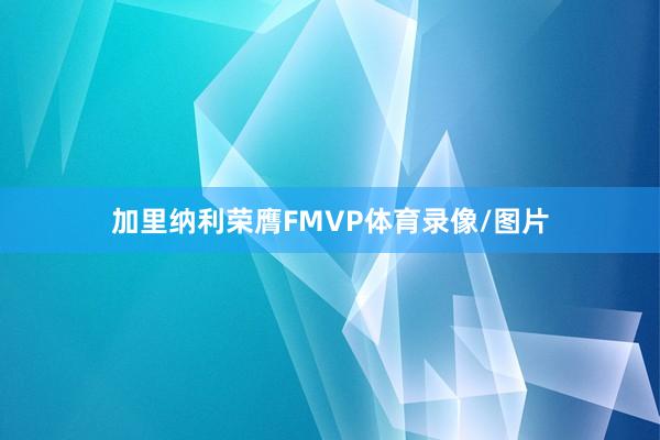 加里纳利荣膺FMVP体育录像/图片