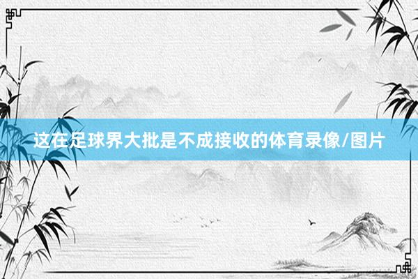 这在足球界大批是不成接收的体育录像/图片