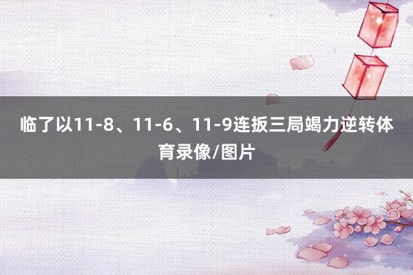 临了以11-8、11-6、11-9连扳三局竭力逆转体育录像/图片