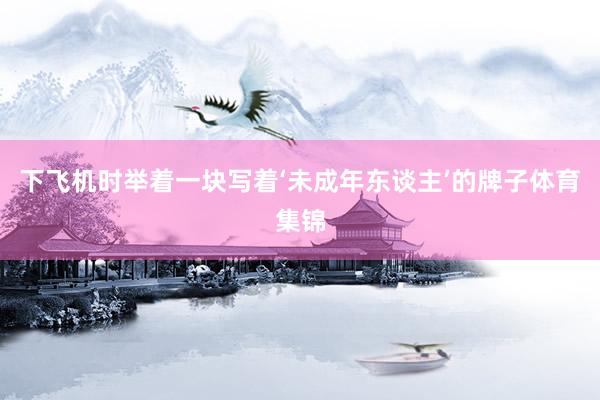 下飞机时举着一块写着‘未成年东谈主’的牌子体育集锦